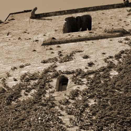Estone Bild 10 - Pierre de Lègnes